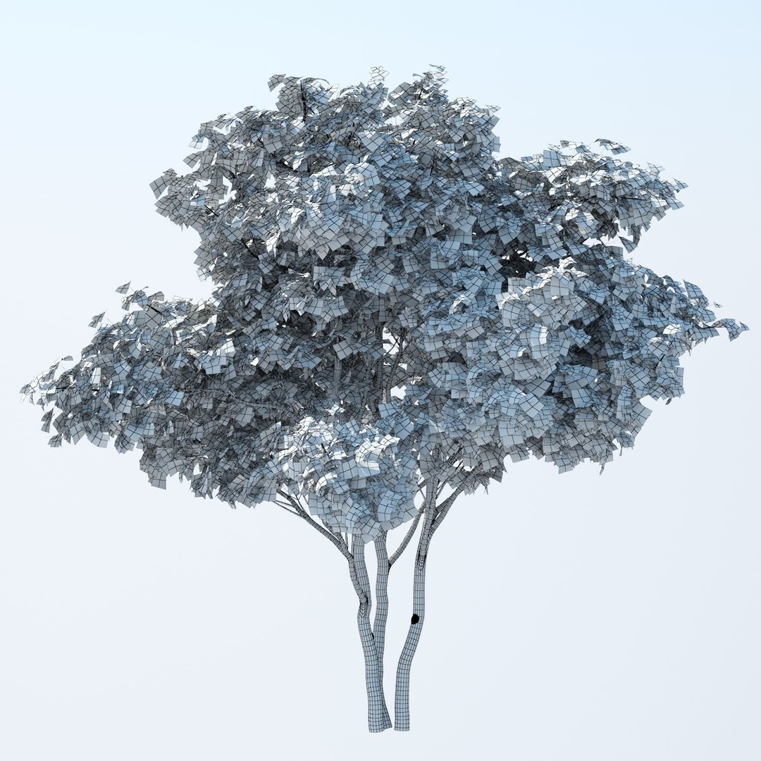 Patio Tree 3D Model – High Poly Acer Negundo with Outdoor Furniture - View 6