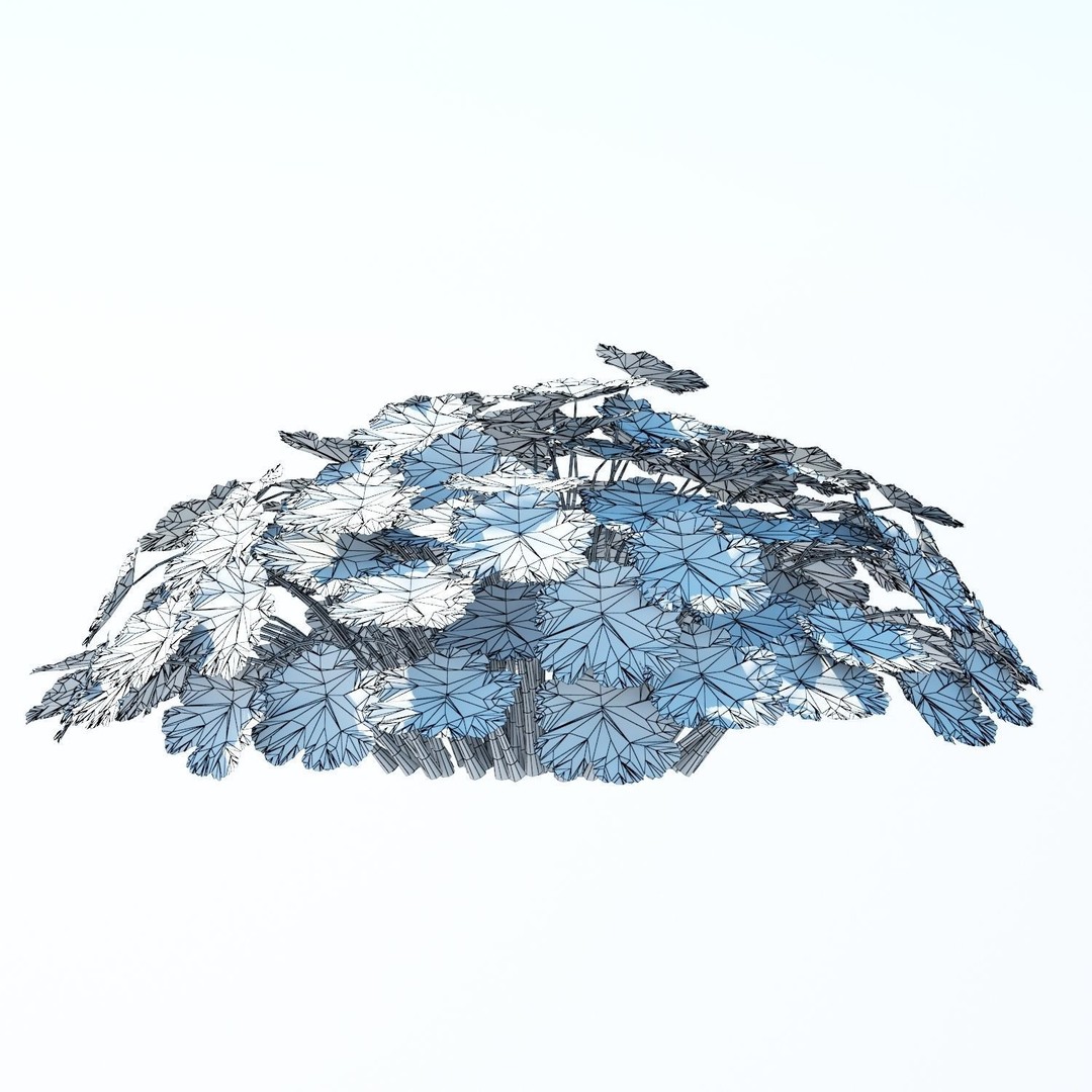 Patio Tree 3D Model – High Poly Acer Negundo with Outdoor Furniture - View 8
