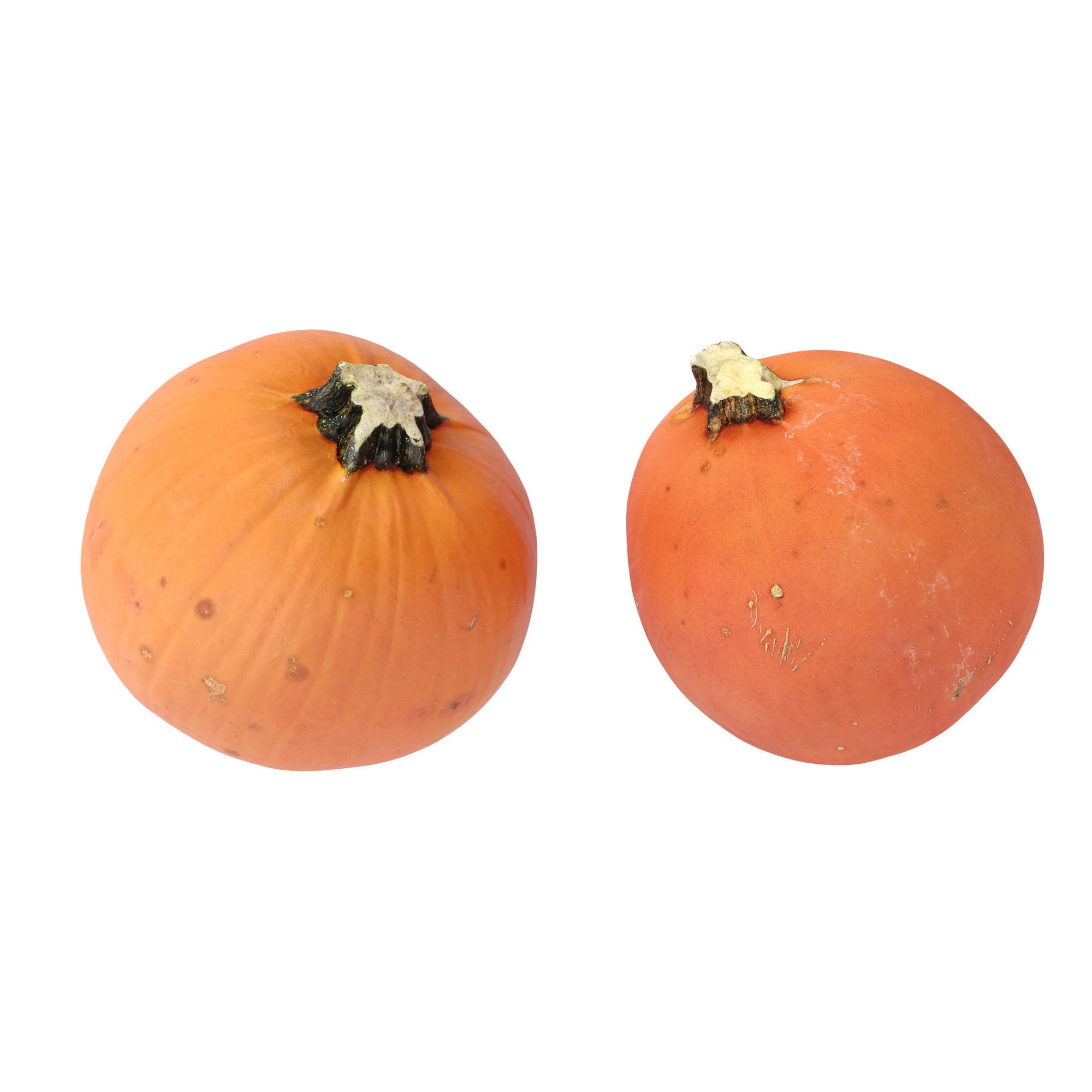 Pumpkins - Low-Poly Game-Ready 3D Model - View 10