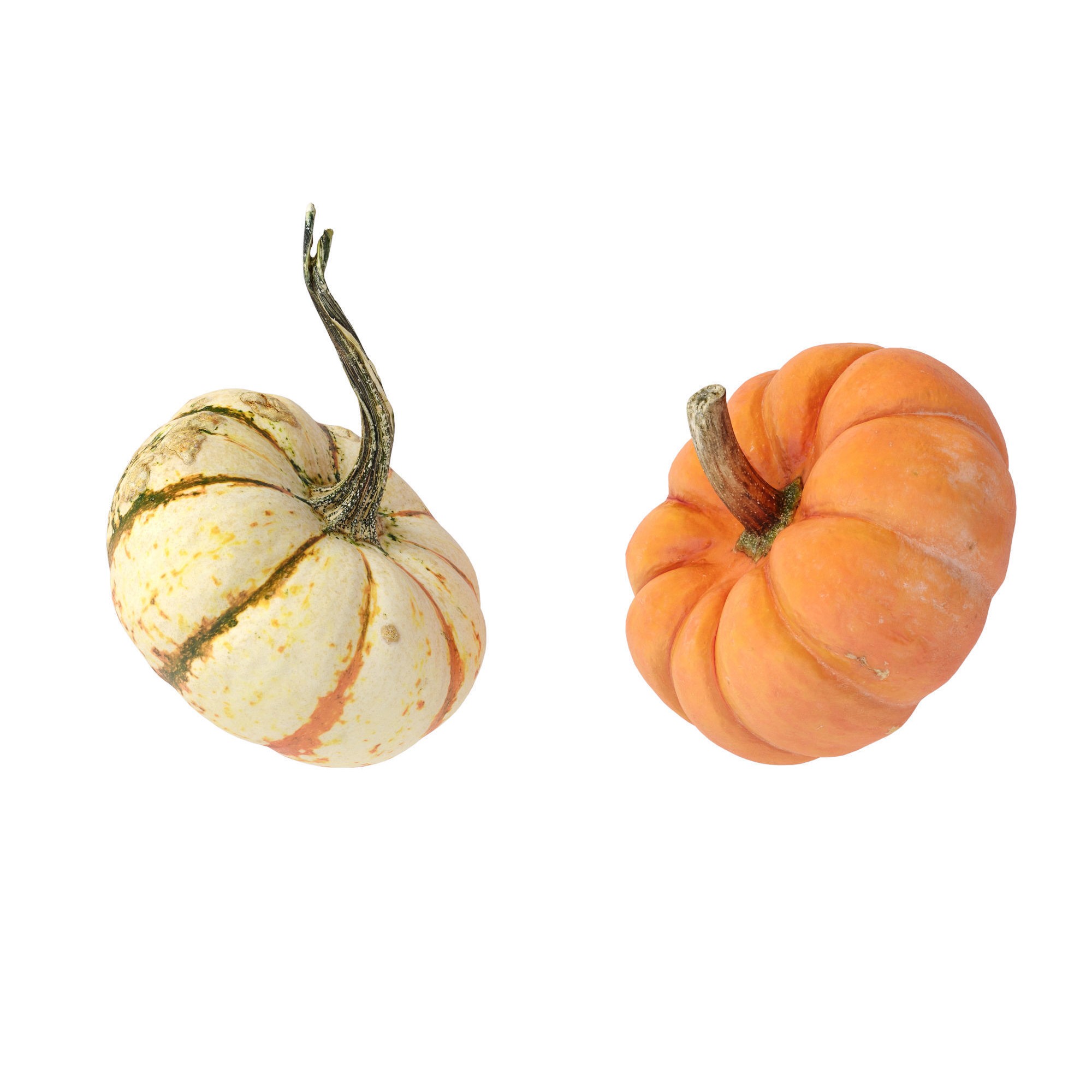Pumpkins - Low-Poly Game-Ready 3D Model - View 11