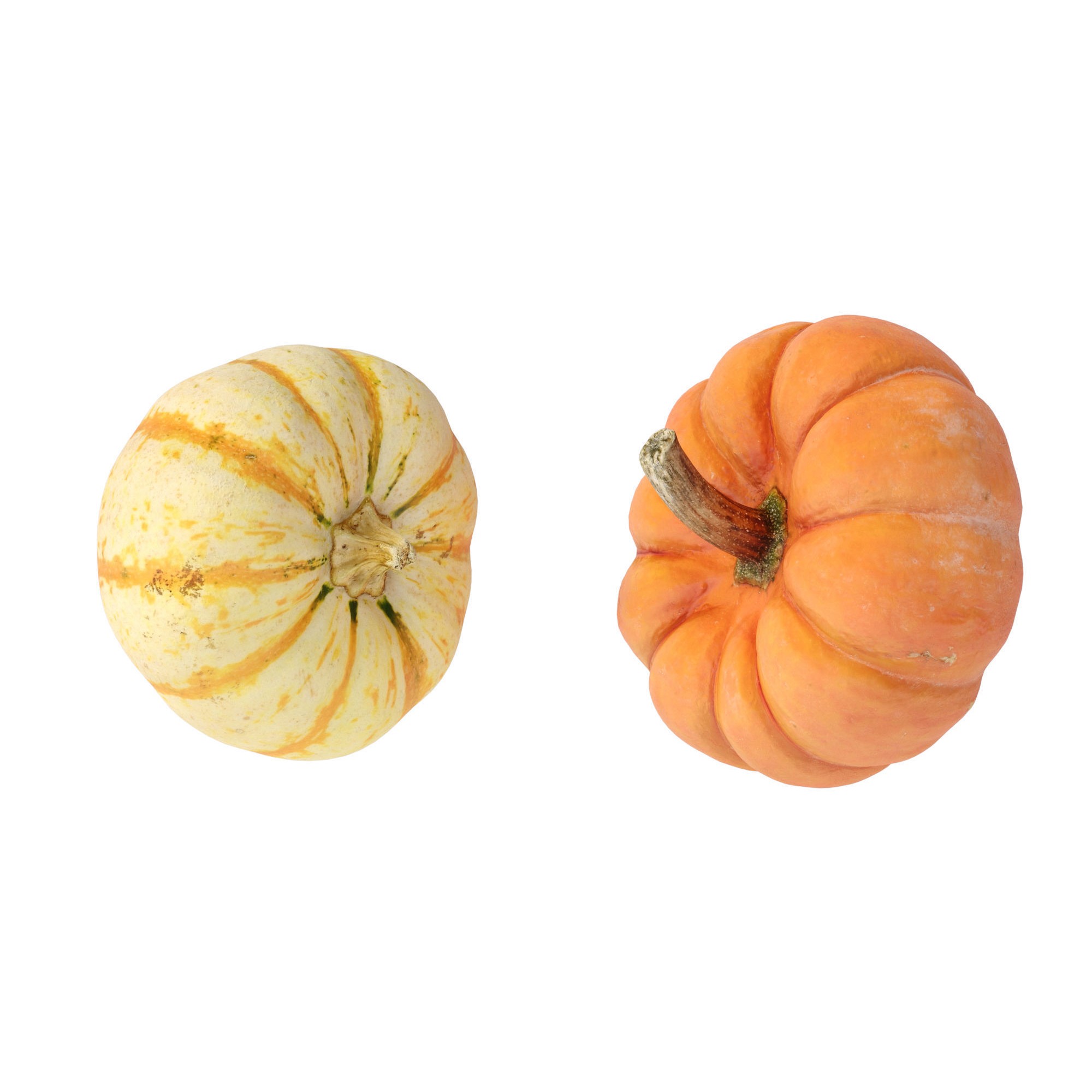 Pumpkins - Low-Poly Game-Ready 3D Model - View 7