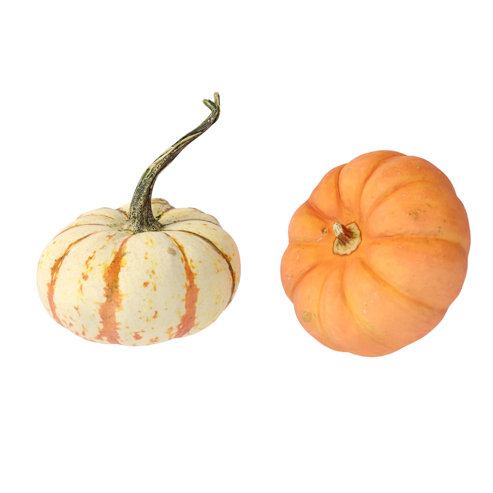 Pumpkins - Low-Poly Game-Ready 3D Model - View 8