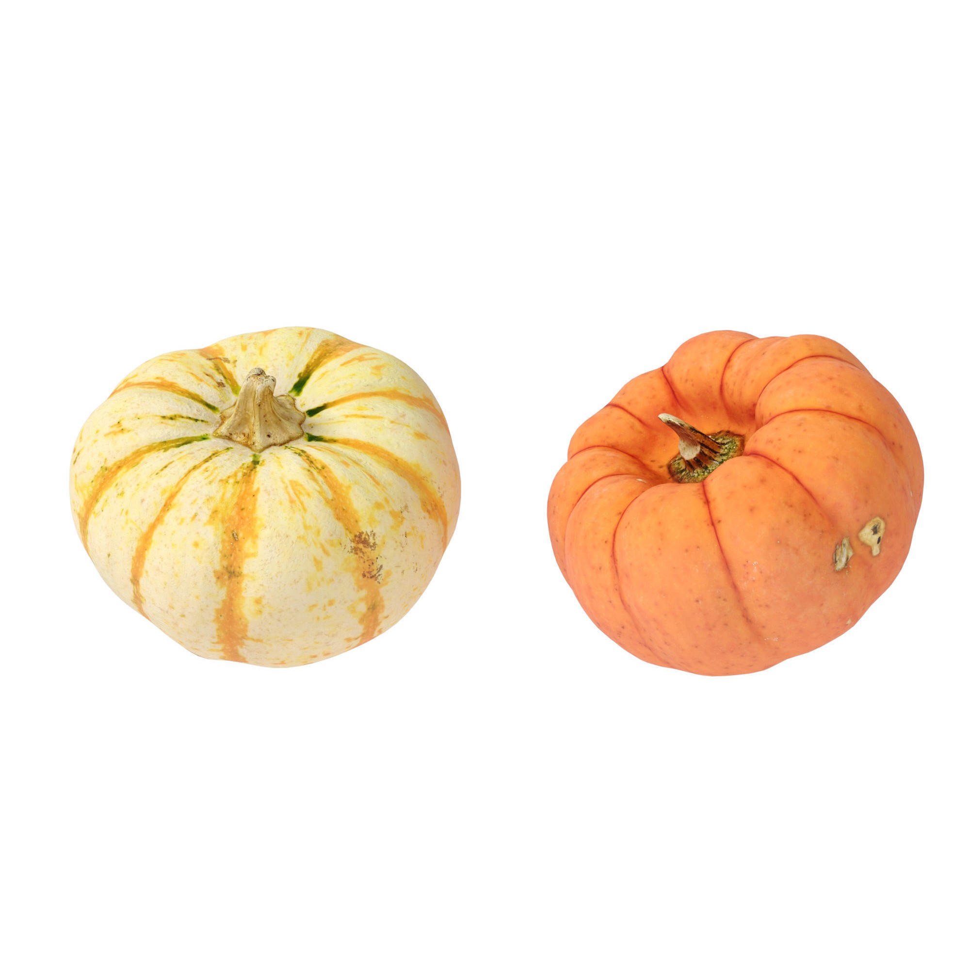 Pumpkins - Low-Poly Game-Ready 3D Model - View 9