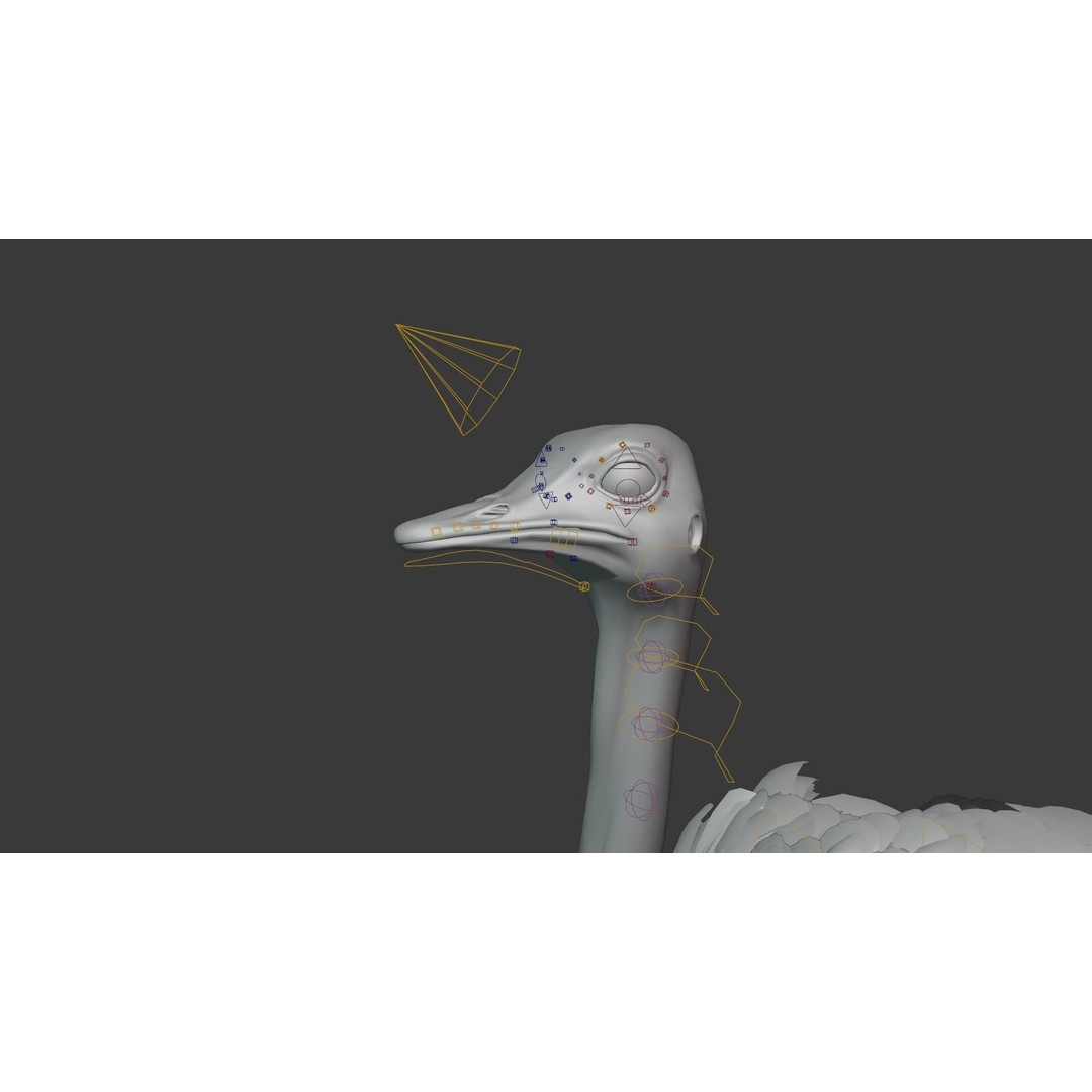 Ostrich 3D Model – Animated, Rigged, PBR, Blender, OBJ - View 10