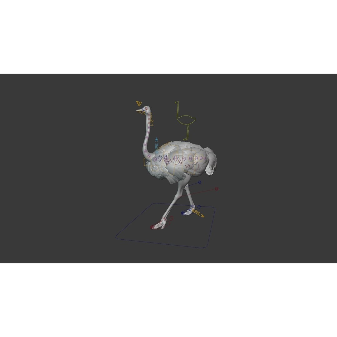 Ostrich 3D Model – Animated, Rigged, PBR, Blender, OBJ - View 9