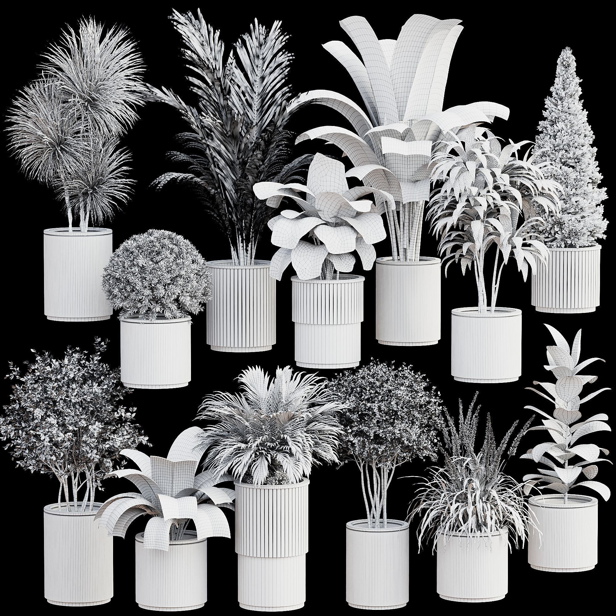 High-Quality Indoor Plants Collection - 3D Model - View 10