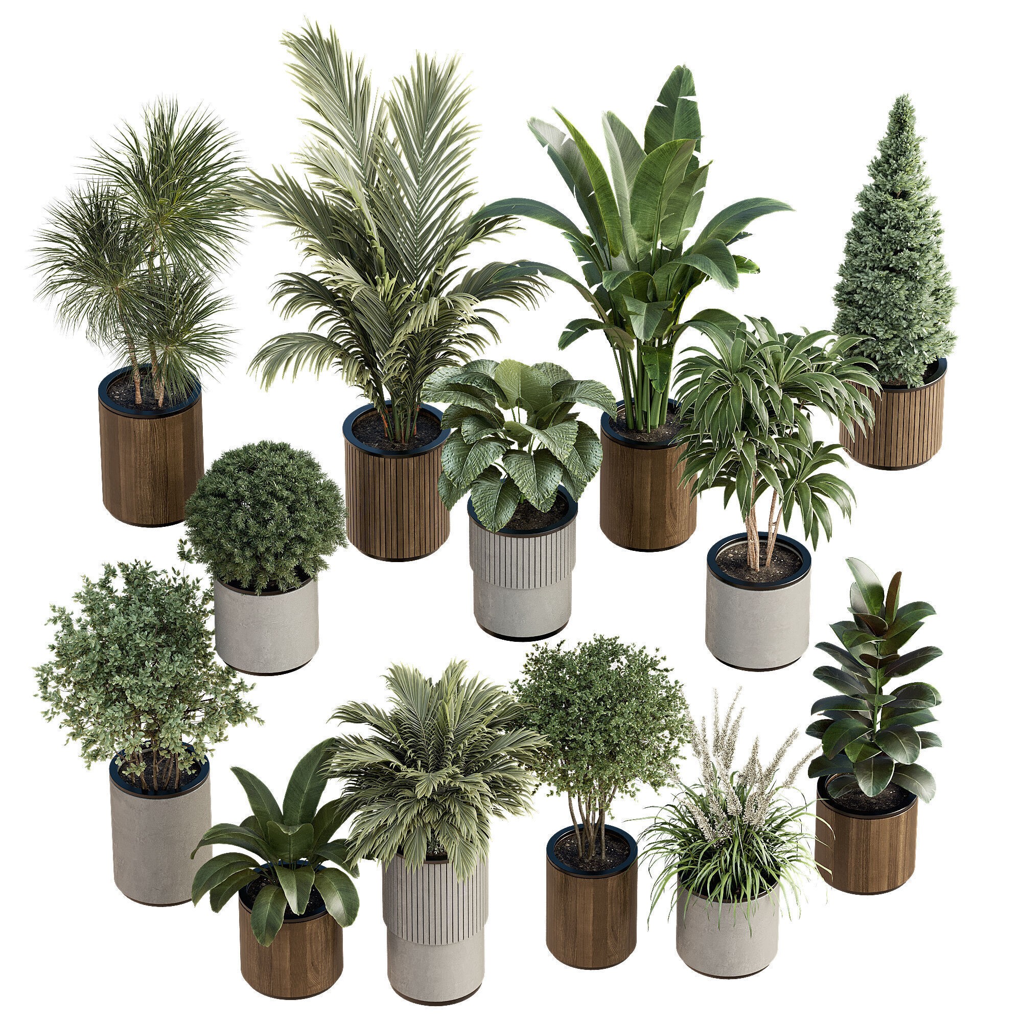 High-Quality Indoor Plants Collection - 3D Model - View 11