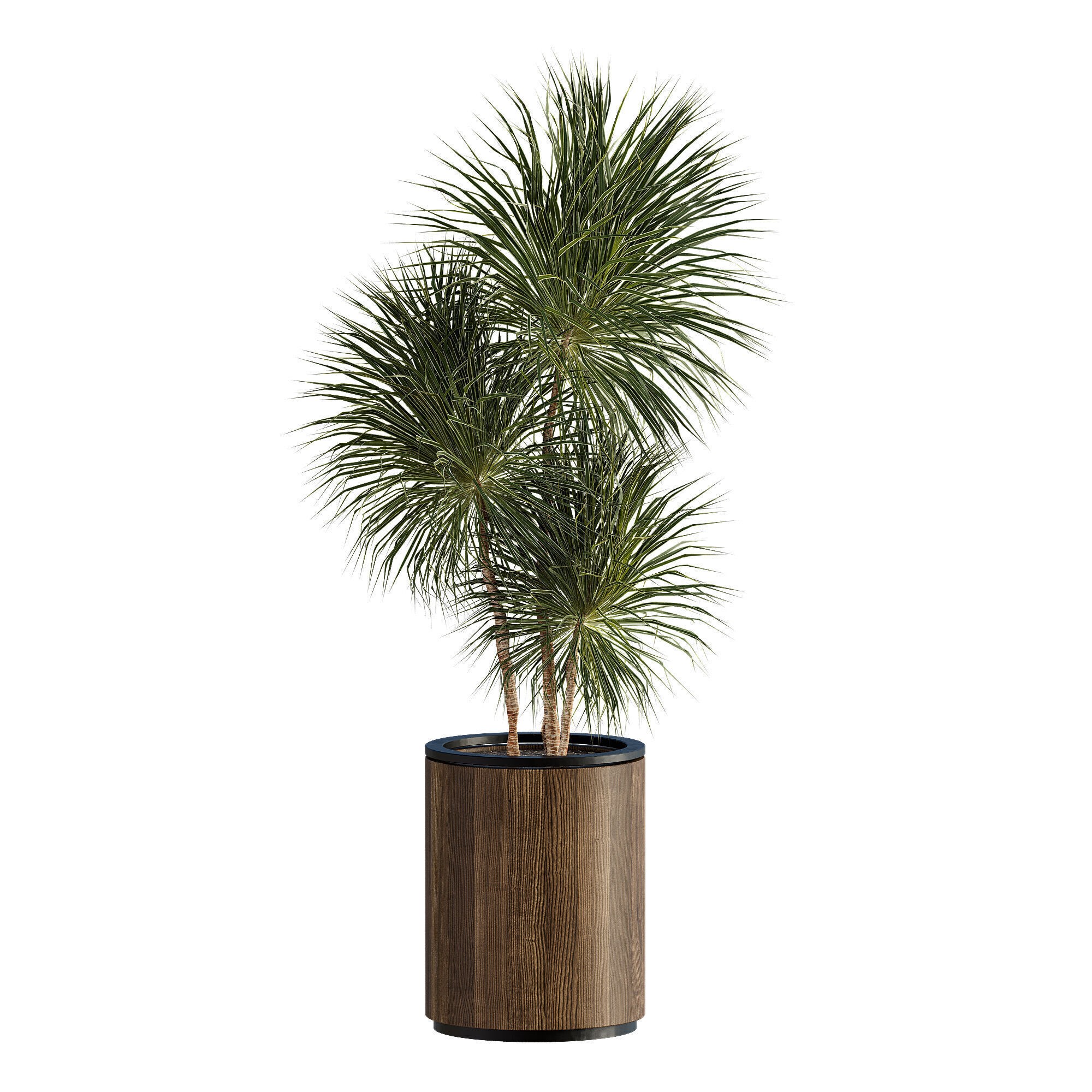 High-Quality Indoor Plants Collection - 3D Model - View 13