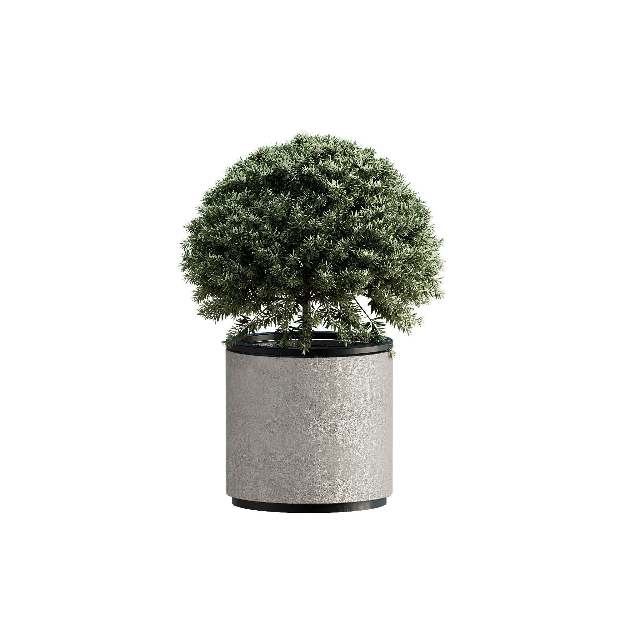 High-Quality Indoor Plants Collection - 3D Model - View 14