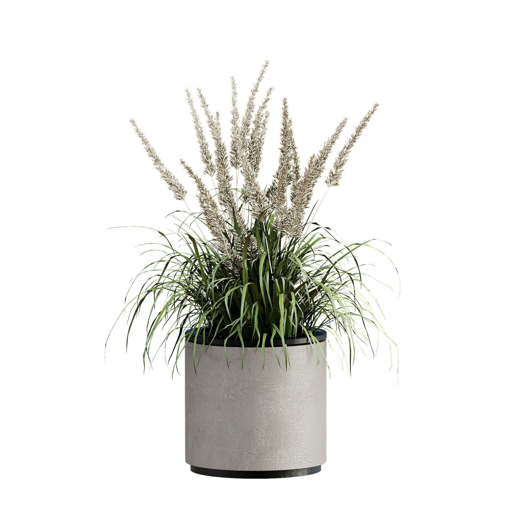 High-Quality Indoor Plants Collection - 3D Model - View 17