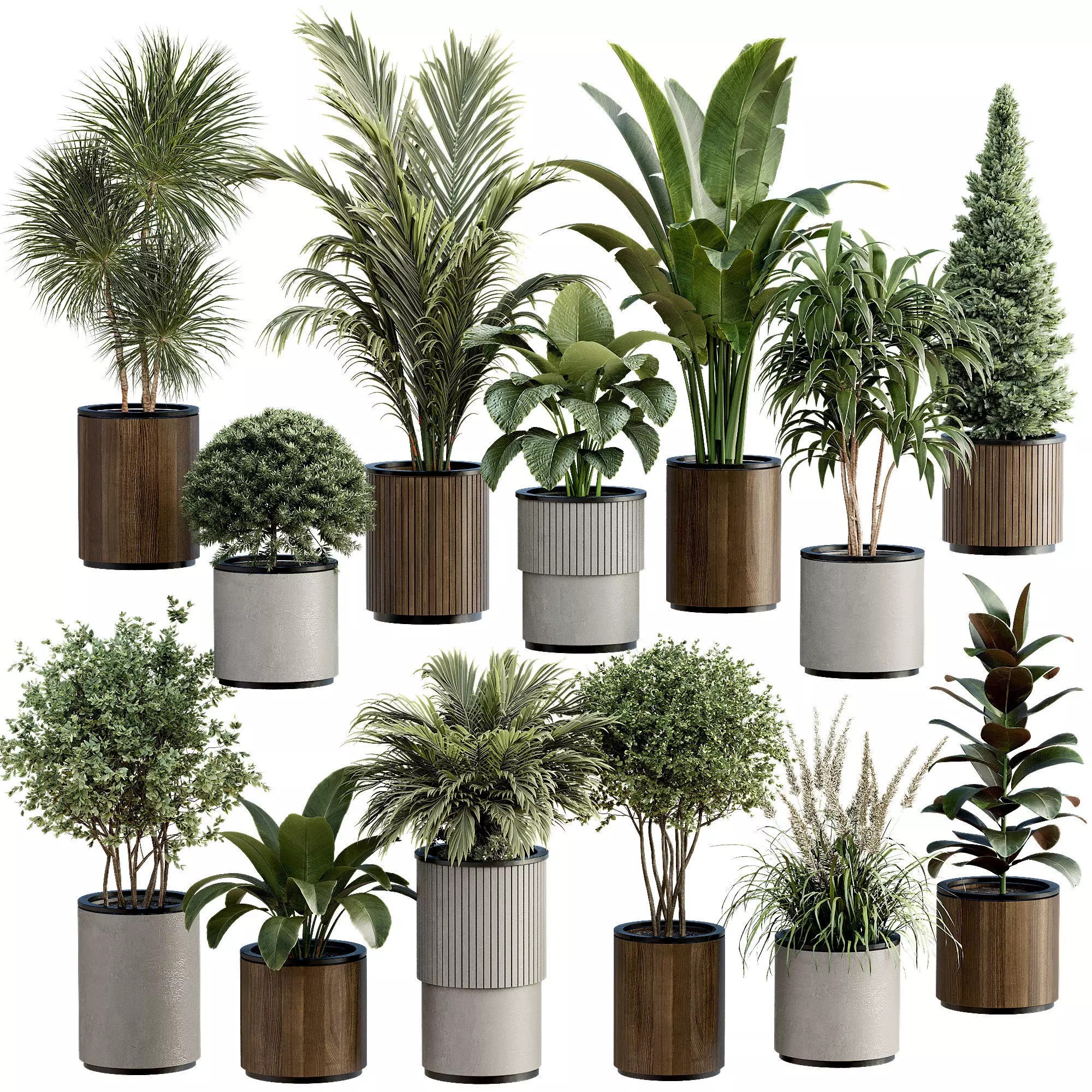 High-Quality Indoor Plants Collection - 3D Model - View 2