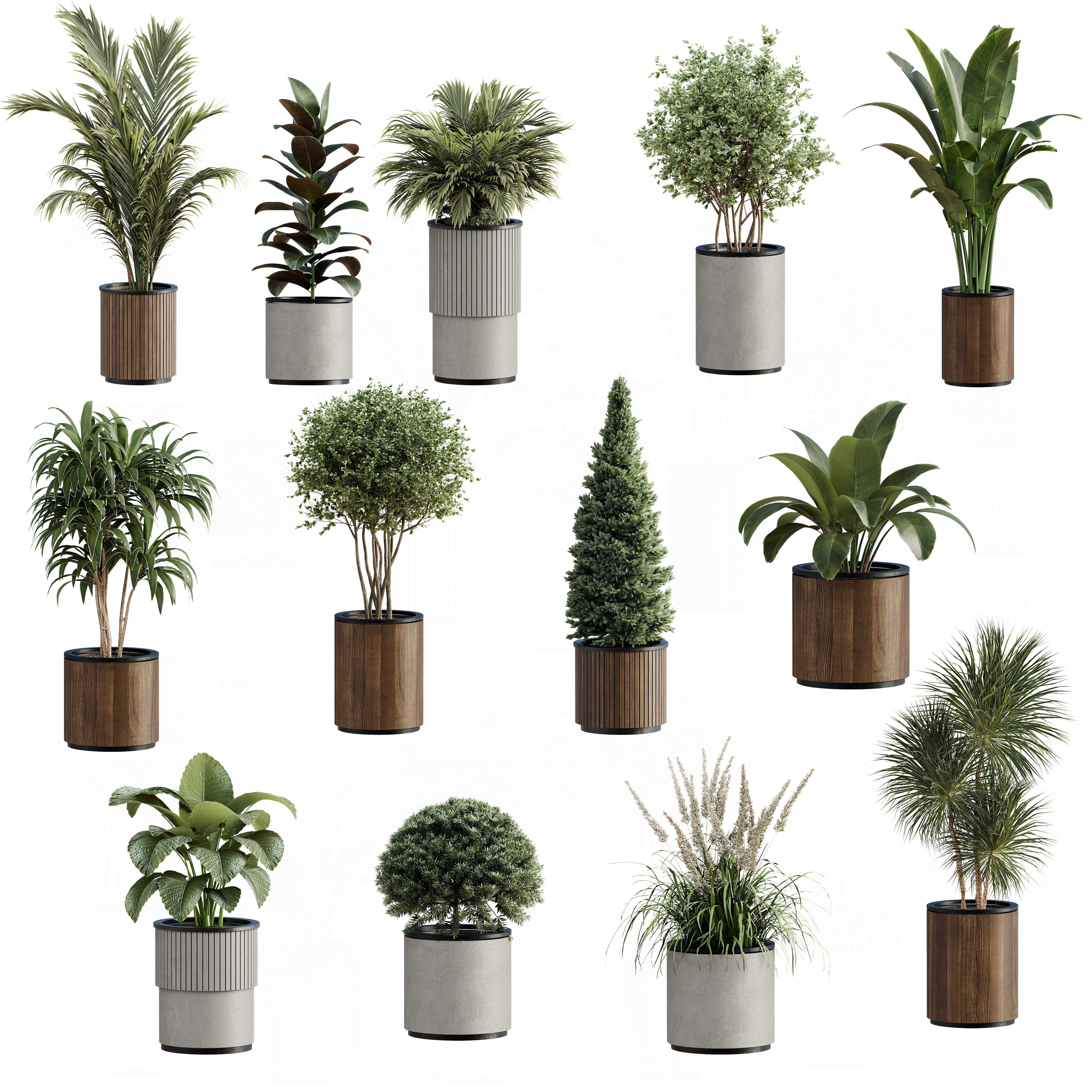 High-Quality Indoor Plants Collection - 3D Model - View 3