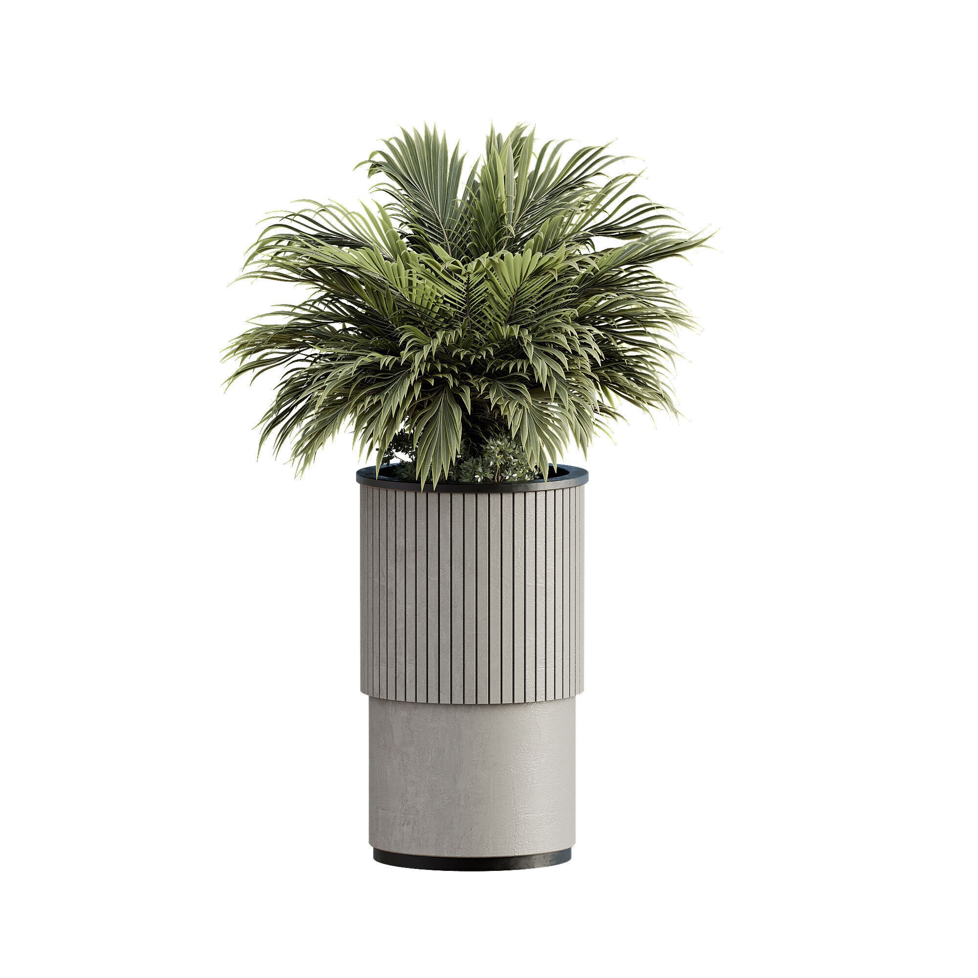 High-Quality Indoor Plants Collection - 3D Model - View 6