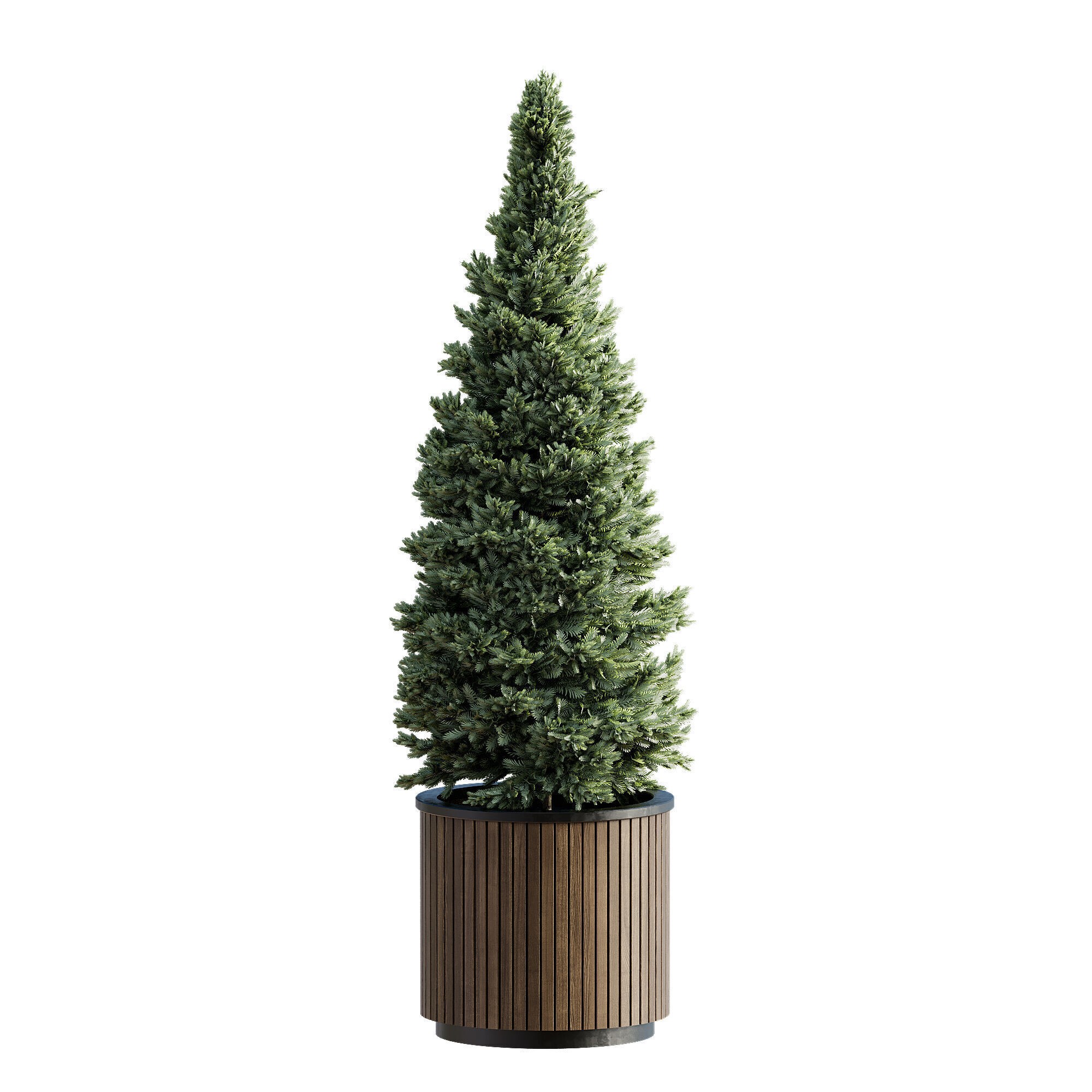 High-Quality Indoor Plants Collection - 3D Model - View 9