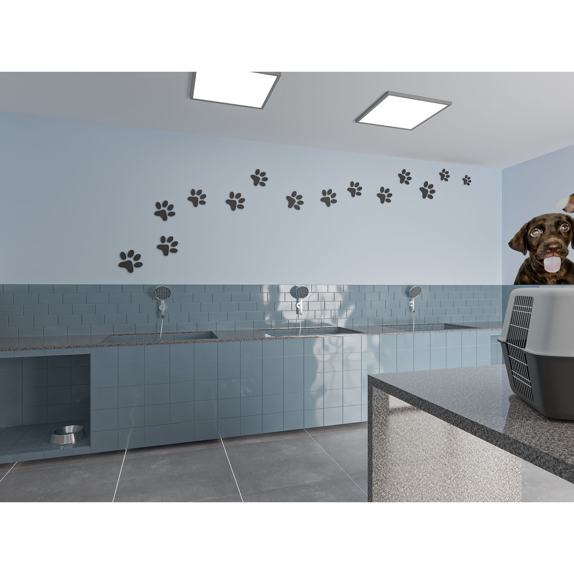 Veterinary Clinic - Game-Ready 3D Model - View 8