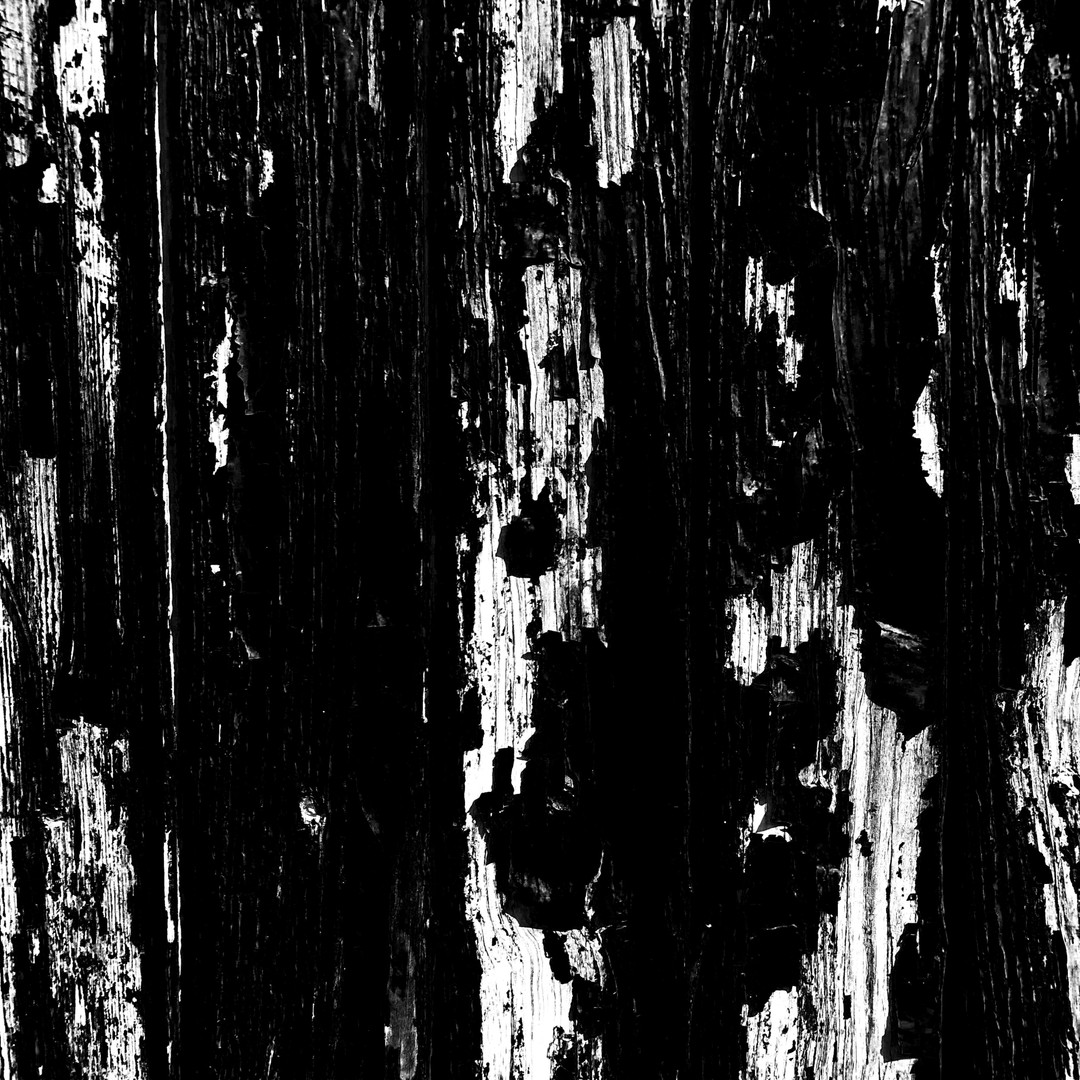 40 Wood Imperfection Textures 3D Model – 4K Natural Textures, PNG
