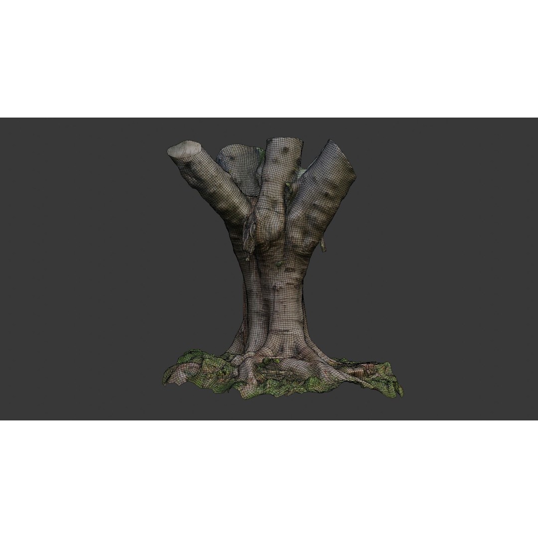 Old Pollarded Tree Trunk 3D Model – Low Poly Photogrammetry Asset, FBX - View 4