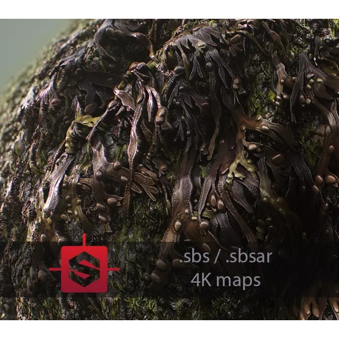 Seaweed On Rock 3D Model – PBR Tileable Material Texture, .sbsar, .sbs - View 2