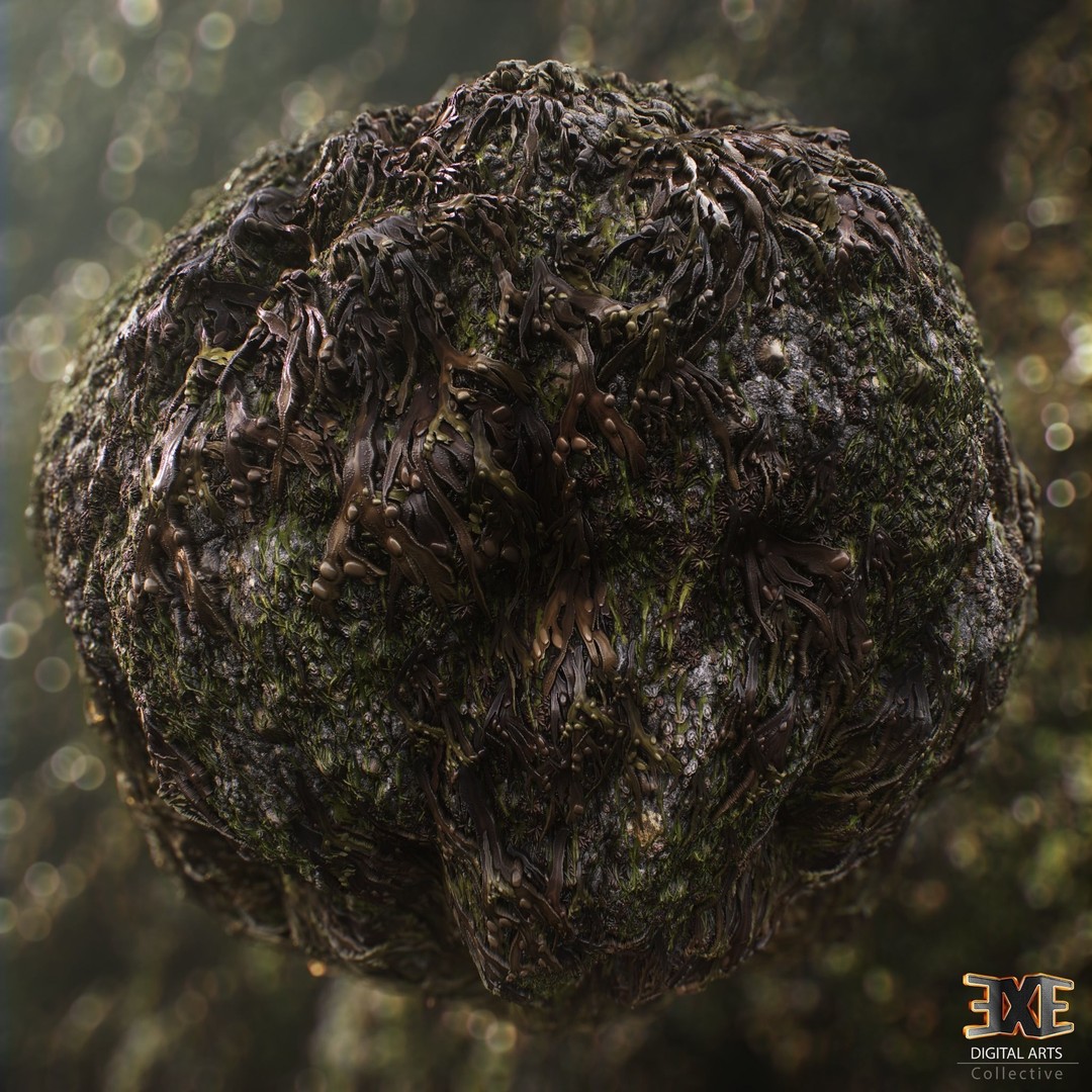 Seaweed On Rock 3D Model – PBR Tileable Material Texture, .sbsar, .sbs - View 3