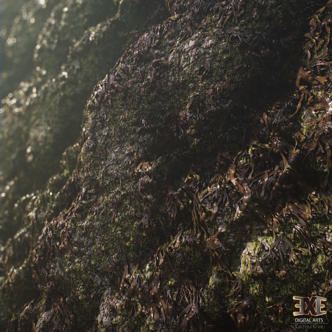 Seaweed On Rock 3D Model – PBR Tileable Material Texture, .sbsar, .sbs - View 4
