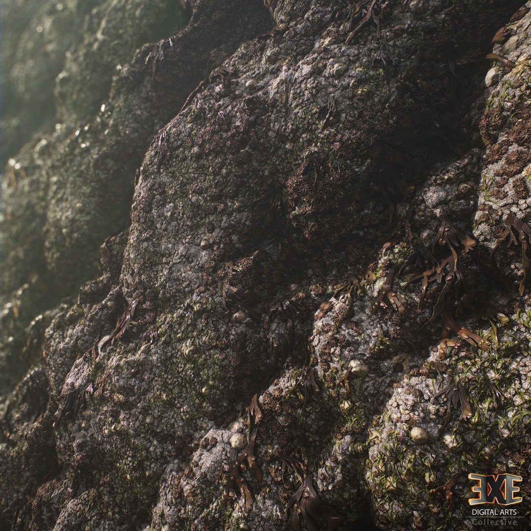 Seaweed On Rock 3D Model – PBR Tileable Material Texture, .sbsar, .sbs - View 5
