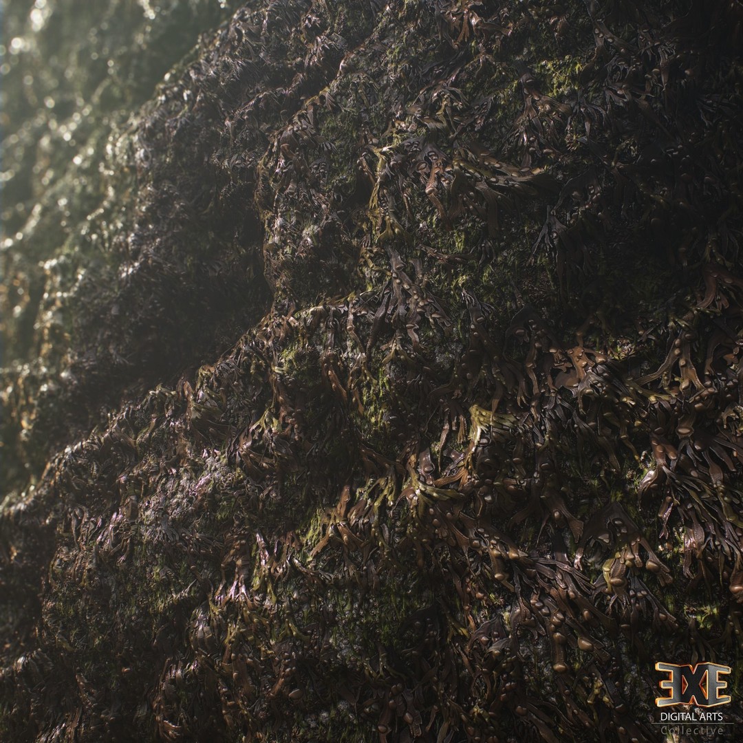 Seaweed On Rock 3D Model – PBR Tileable Material Texture, .sbsar, .sbs - View 6