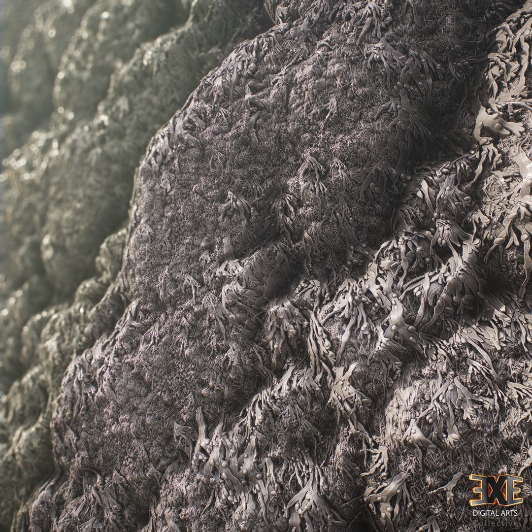 Seaweed On Rock 3D Model – PBR Tileable Material Texture, .sbsar, .sbs - View 7
