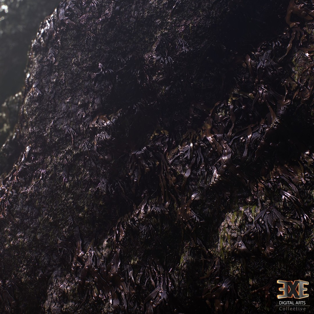 Seaweed On Rock 3D Model – PBR Tileable Material Texture, .sbsar, .sbs - View 8