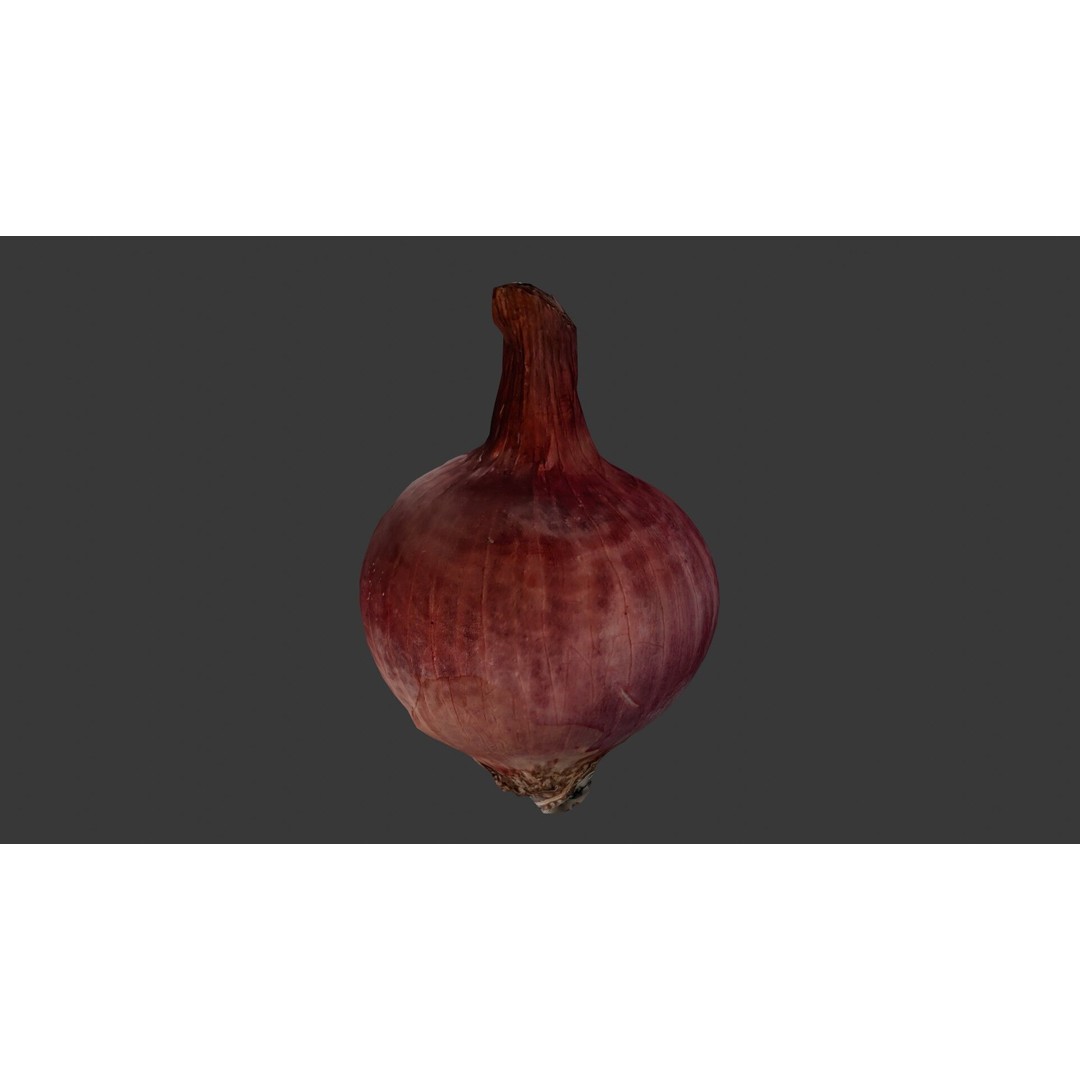 Red Onion 3D Model – Low Poly Game Asset with PBR Textures