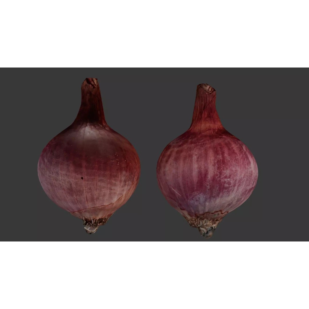 Red Onion 3D Model – Low Poly Game Asset with PBR Textures - View 2