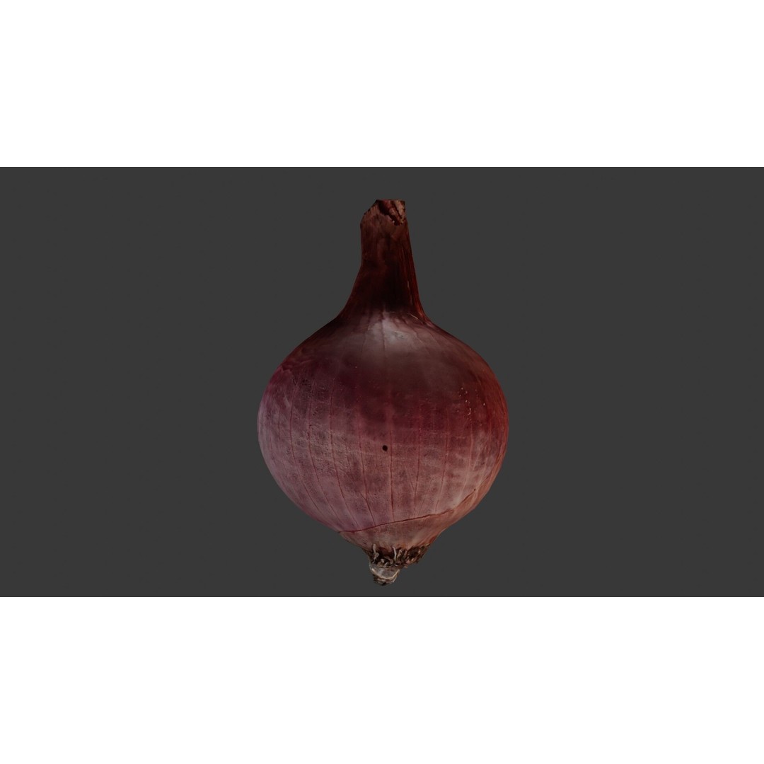 Red Onion 3D Model – Low Poly Game Asset with PBR Textures - View 3