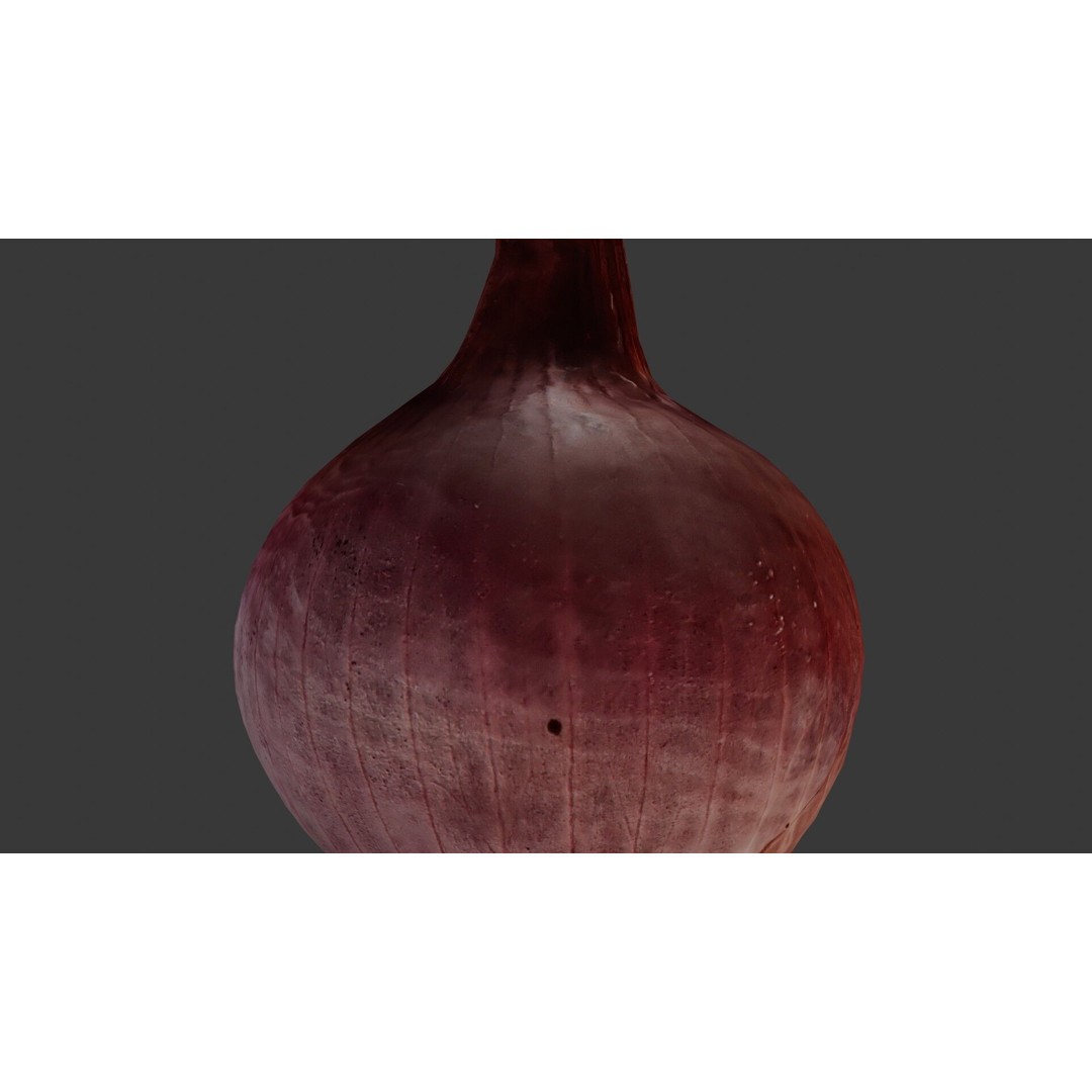 Red Onion 3D Model – Low Poly Game Asset with PBR Textures - View 5