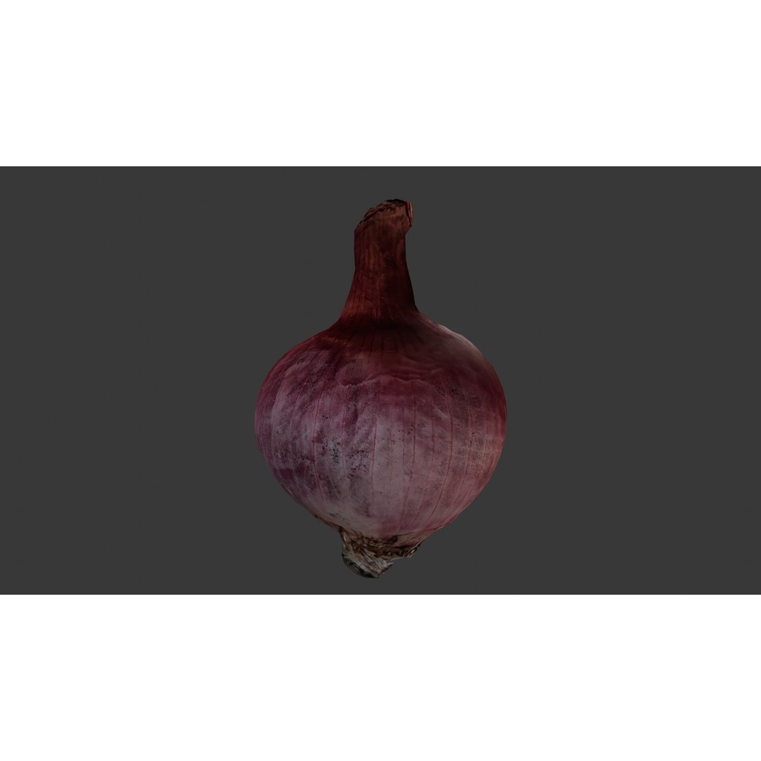 Red Onion 3D Model – Low Poly Game Asset with PBR Textures - View 6
