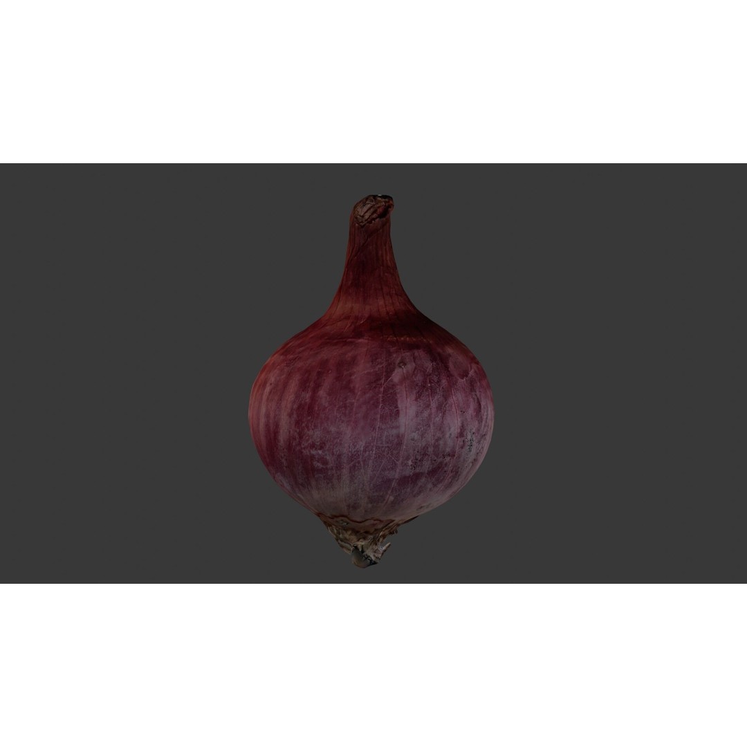 Red Onion 3D Model – Low Poly Game Asset with PBR Textures - View 7