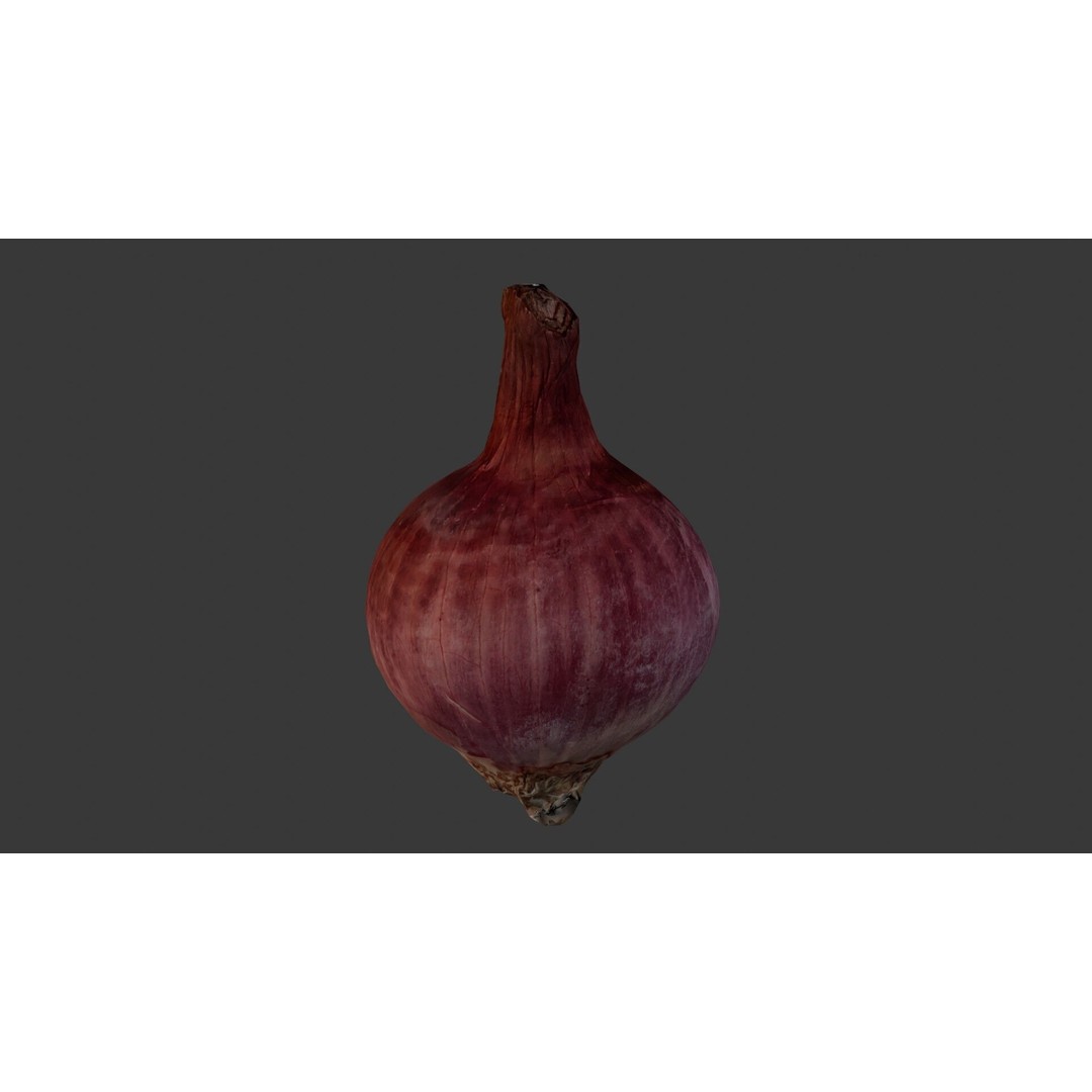 Red Onion 3D Model – Low Poly Game Asset with PBR Textures - View 8