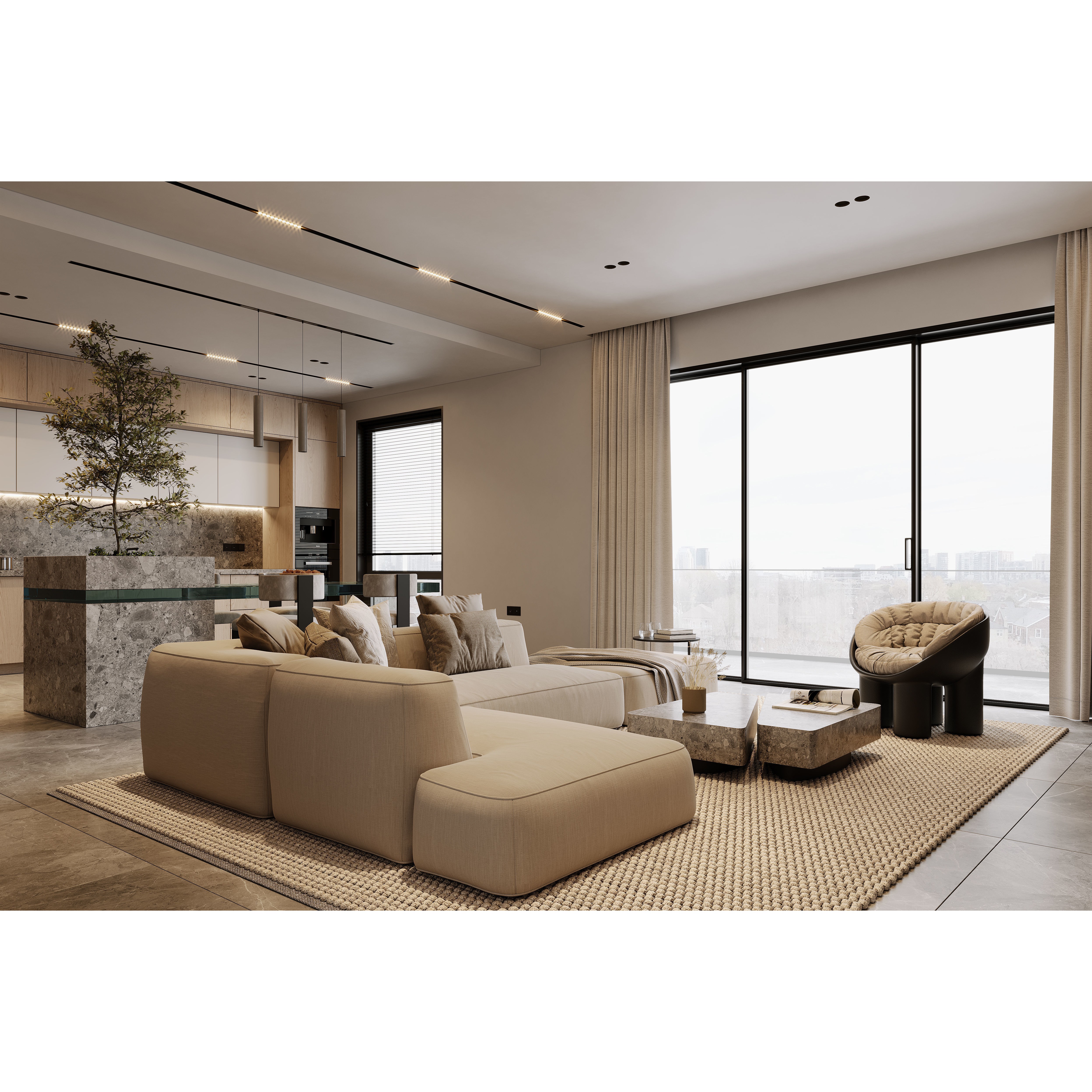 AR-22045 Case Study - Living Room-Kitchen-Hallway 3D Model - View 8