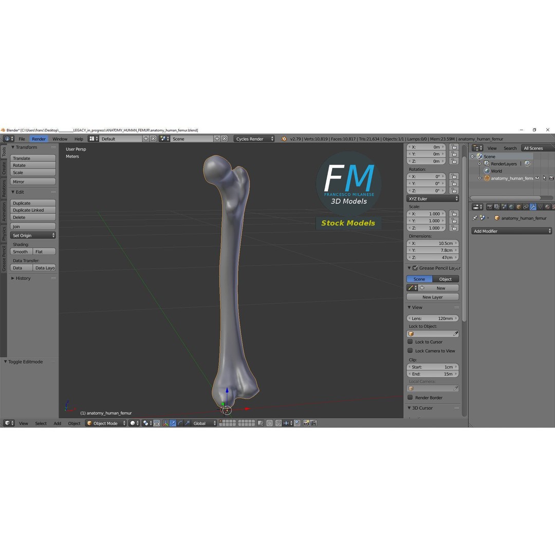 Human Femur 3D Model – Anatomical PBR Asset, FBX & OBJ - View 10