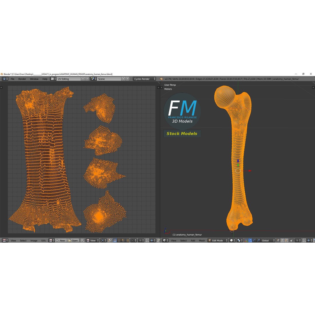 Human Femur 3D Model – Anatomical PBR Asset, FBX & OBJ - View 11
