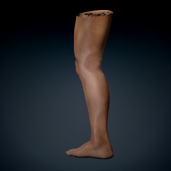 Human Male Leg 3D Model – Anatomically Accurate, PBR Textured - View 13