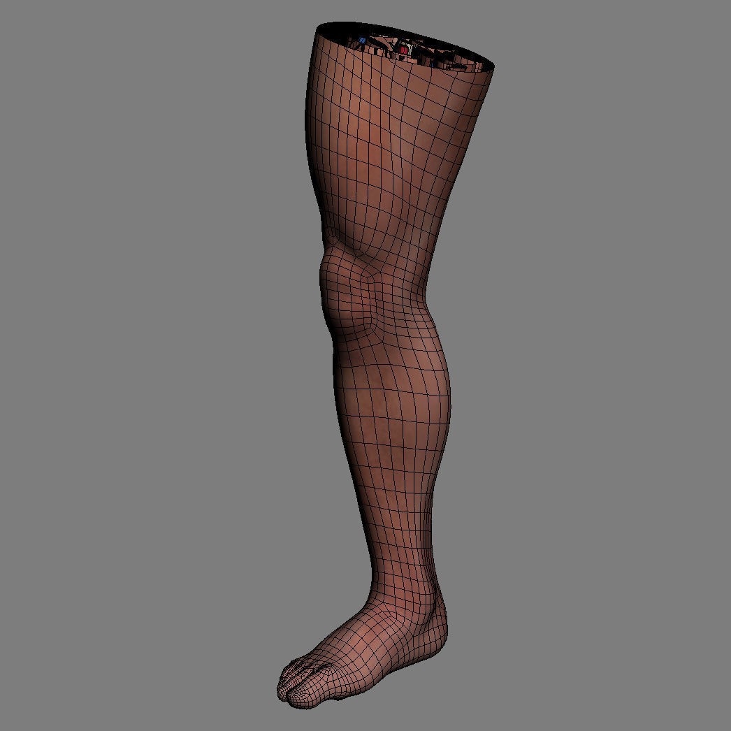 Human Male Leg 3D Model – Anatomically Accurate, PBR Textured - View 18