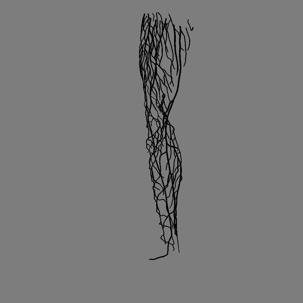 Human Male Leg 3D Model – Anatomically Accurate, PBR Textured - View 23