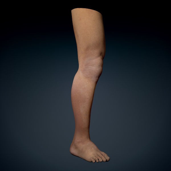 Human Male Leg 3D Model – Anatomically Accurate, PBR Textured - View 3