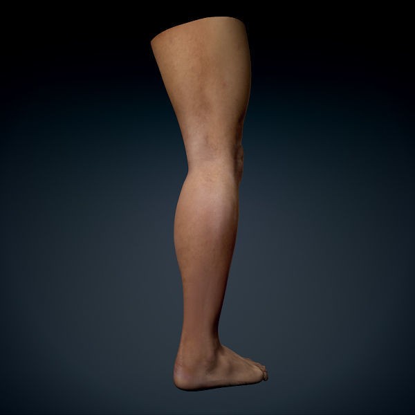Human Male Leg 3D Model – Anatomically Accurate, PBR Textured - View 8