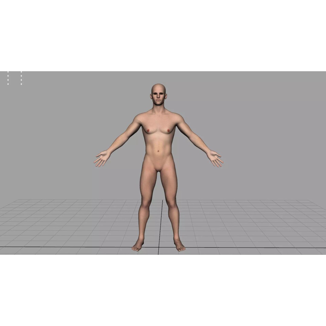 Angiology Human Anatomy 3D Model – PBR Textured Character Asset, FBX - View 4