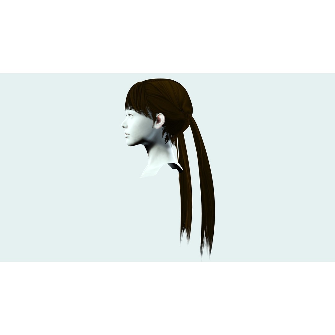 Female Long Up Pigtail 3D Model – Low Poly Hair Style, FBX - View 6