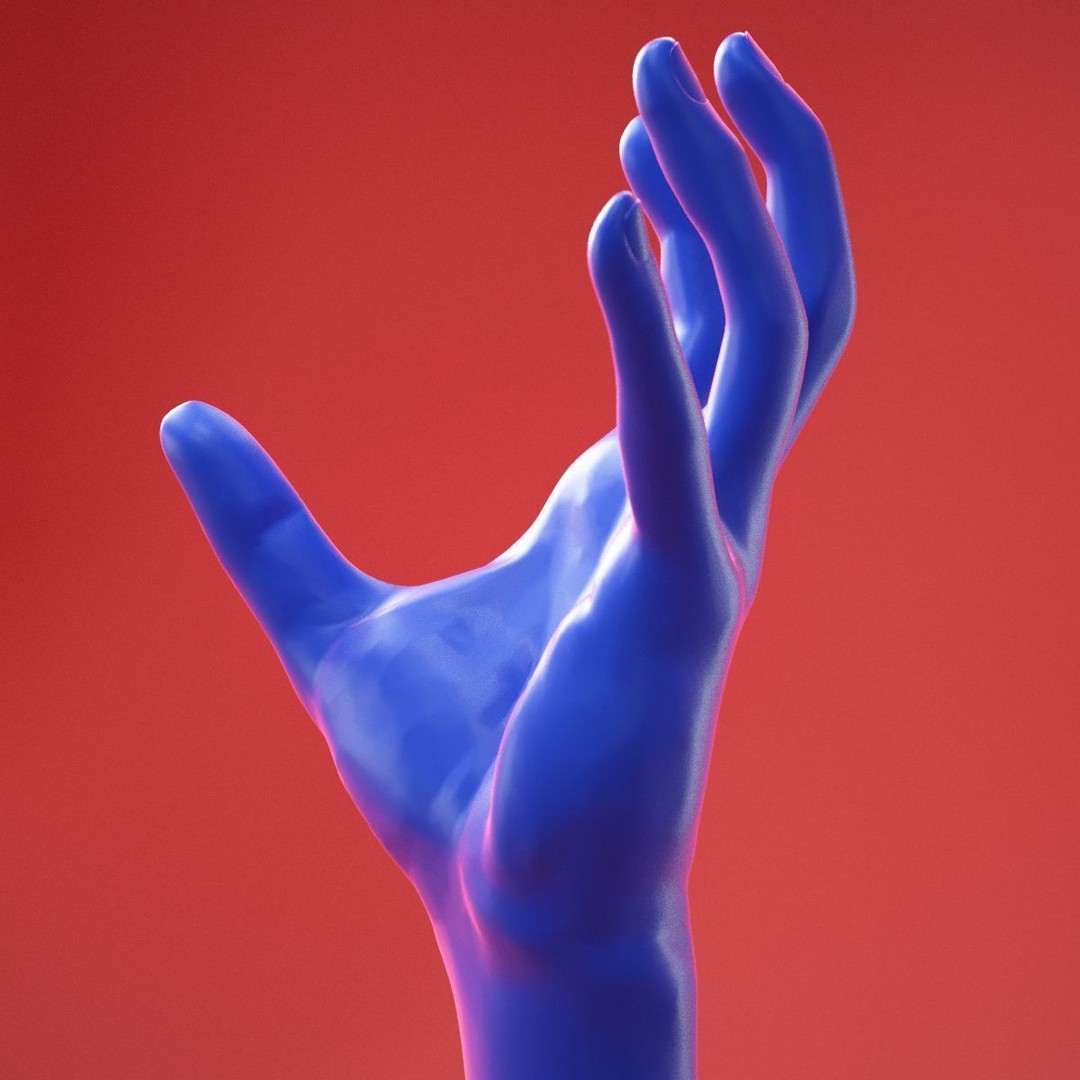 Realistic Male Hand 3D Model – High Poly Anatomy Asset, FBX, OBJ - View 10
