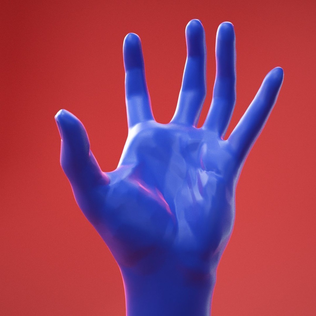 Realistic Male Hand 3D Model – High Poly Anatomy Asset, FBX, OBJ - View 12