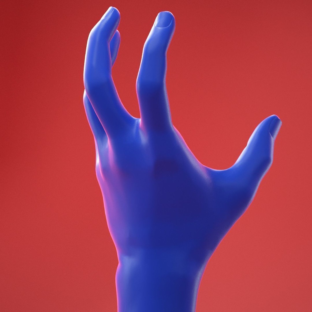 Realistic Male Hand 3D Model – High Poly Anatomy Asset, FBX, OBJ - View 5