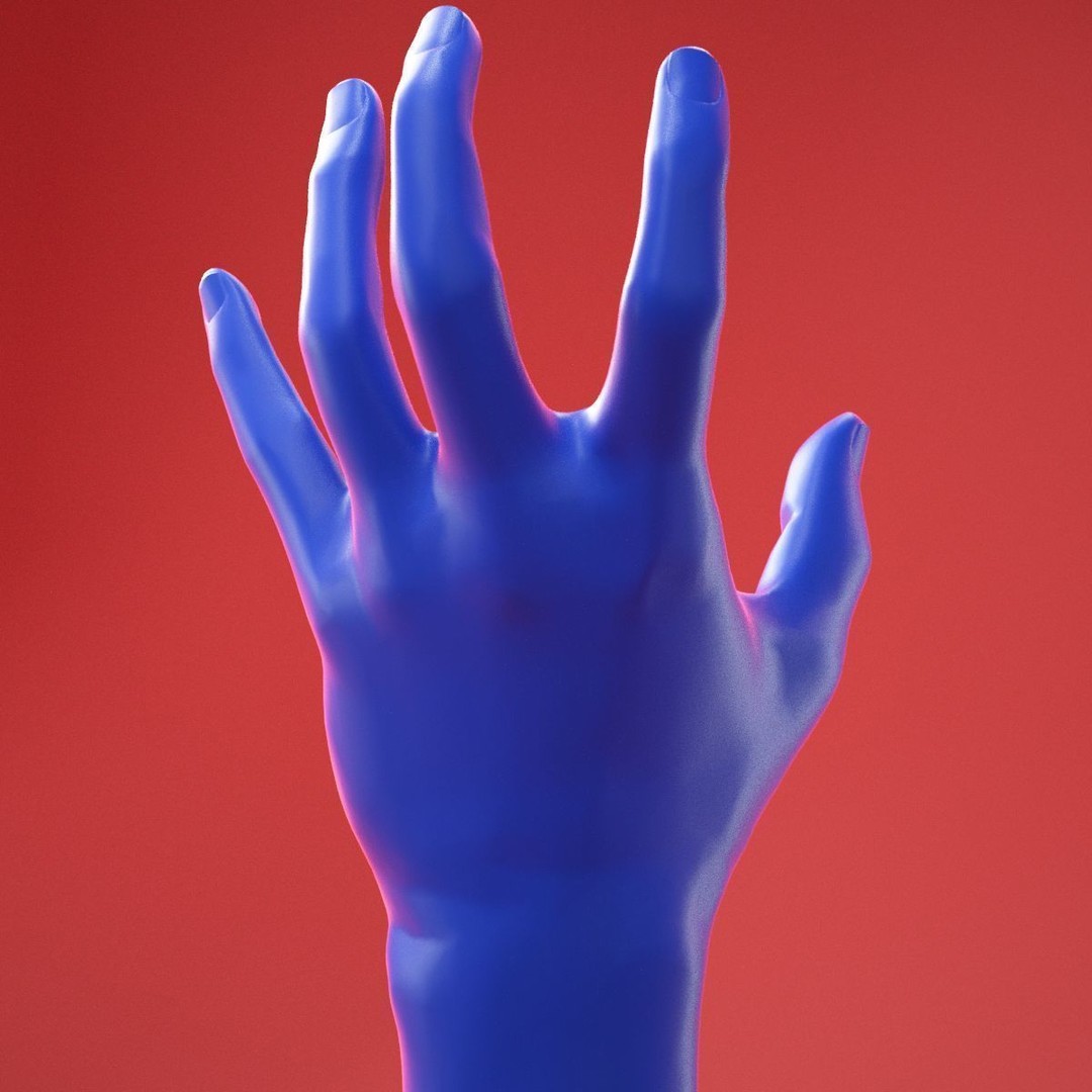 Realistic Male Hand 3D Model – High Poly Anatomy Asset, FBX, OBJ - View 6