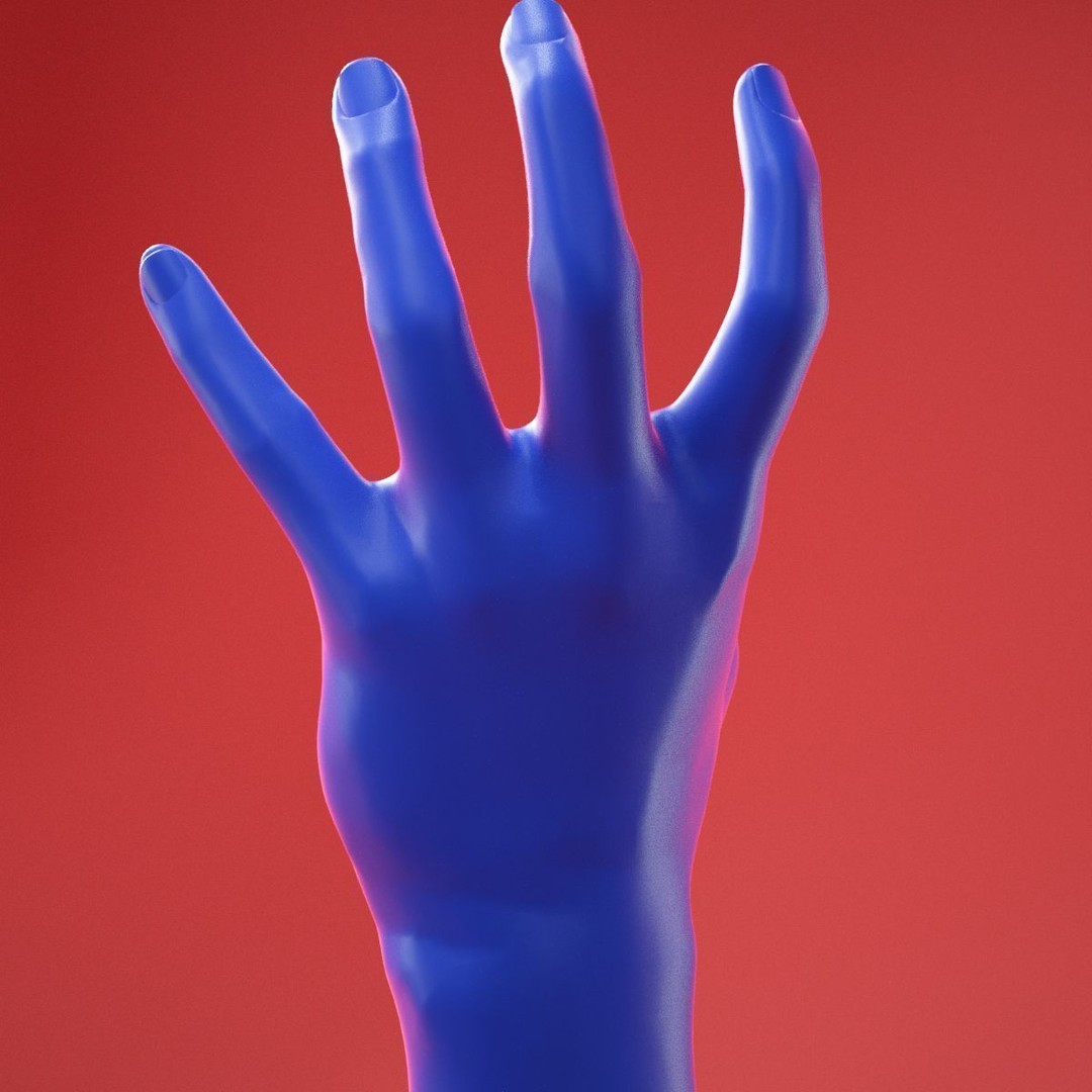 Realistic Male Hand 3D Model – High Poly Anatomy Asset, FBX, OBJ - View 7